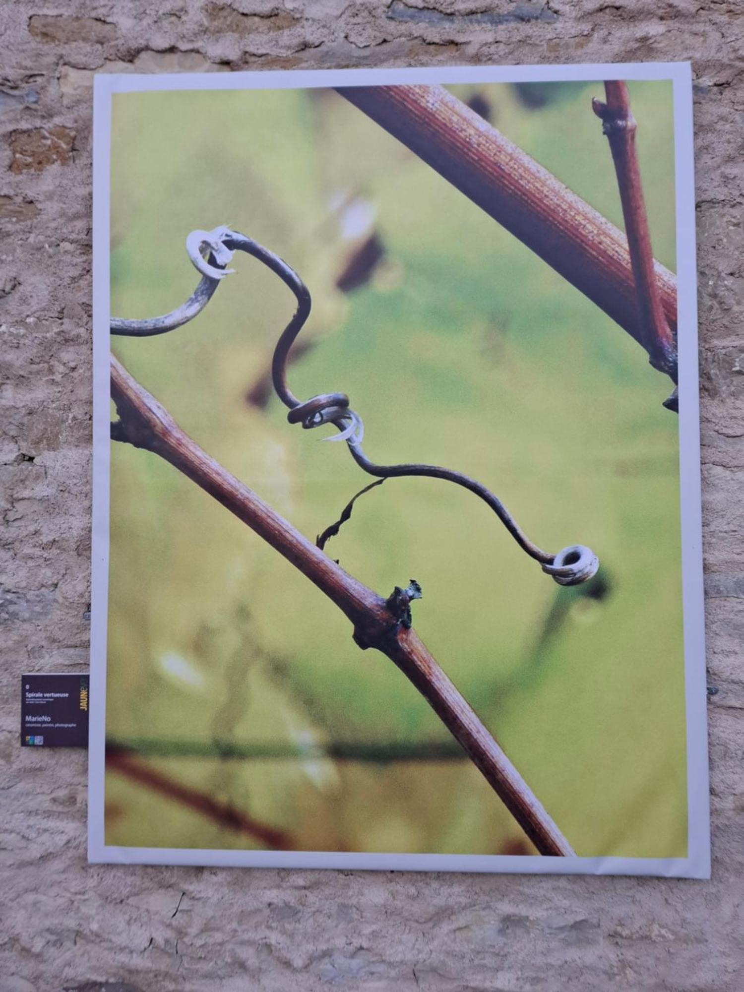 Maison D'Eusebia Château-Chalon المظهر الخارجي الصورة